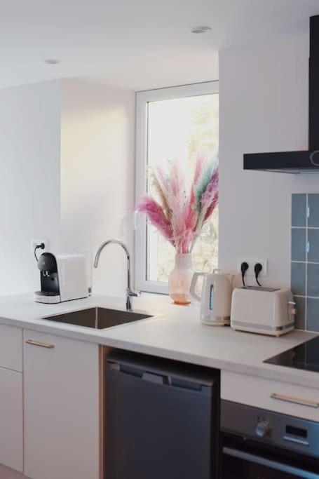 Appartement Aquaroom Rdc - Plage 50M - Rue Gratuite Saint-Malo Ngoại thất bức ảnh